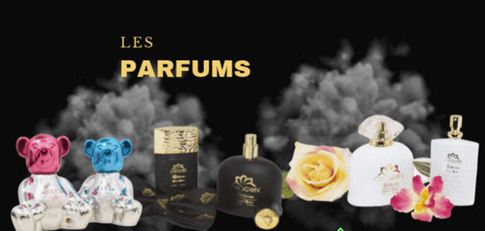 Devenez-Consultant-e-Chogan-et-Développez-Votre-Propre-Activité -  JosMir Beauty & Luxury