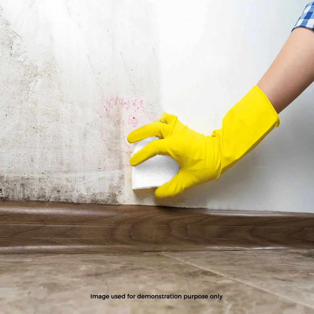 Magic Sponge - N° BHAC0001 - JosMir Beauty & Luxury