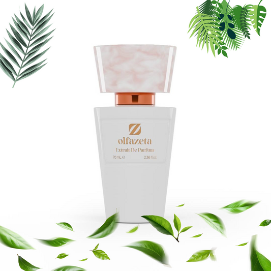 Parfum N° 081 - inspiration cassique essence - JosMir Beauty & Luxury
